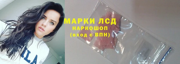 прущие крисы Каменногорск