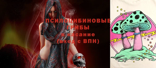 не бодяженный Каменск-Шахтинский